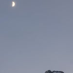 featured-image-moon-rocks-1800RjzIXdi