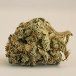 featured-image-weed-blog-1054V82cDNc