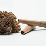featured-image-weed-blog-1077DQxca9y