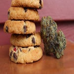 featured-image-weed-blog-1540-bVj7xq