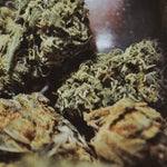 featured-image-weed-blog-157CgPxPczA