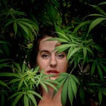featured-image-weed-blog-180-xS3o55t