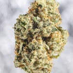 featured-image-weed-blog-1876I61PbT3