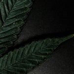 featured-image-weed-blog-220sSO5FLPC
