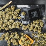 featured-image-weed-blog-222th3zPYzG