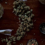 featured-image-weed-blog-253H57bQB3o