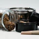 featured-image-weed-blog-3et7ivxFD