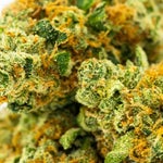 featured-image-weed-blog-40XIzhRyLY
