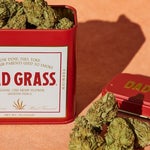 featured-image-weed-edibles-1178G4R5FLm