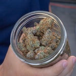 featured-image-medical-marijuana-133xTgbzV2n