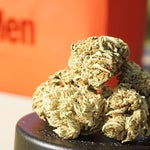featured-image-medical-marijuana-250n-73w03Z