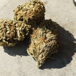 featured-image-medical-marijuana-259qWpXvt03