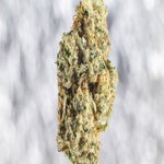 featured-image-medical-marijuana-6OaMcep9i