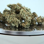 featured-image-medical-marijuana-888dt9DPYe