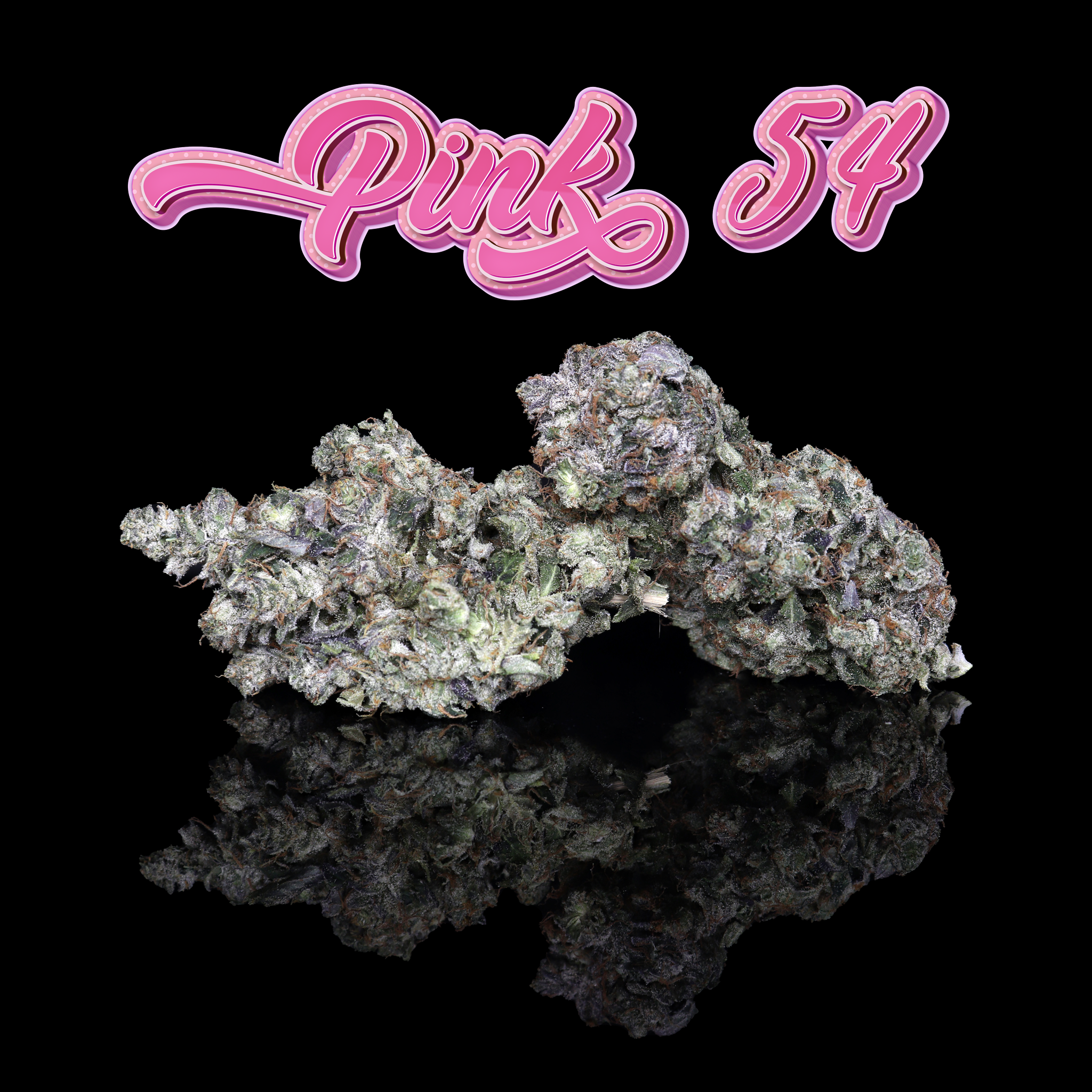 Pink 54
