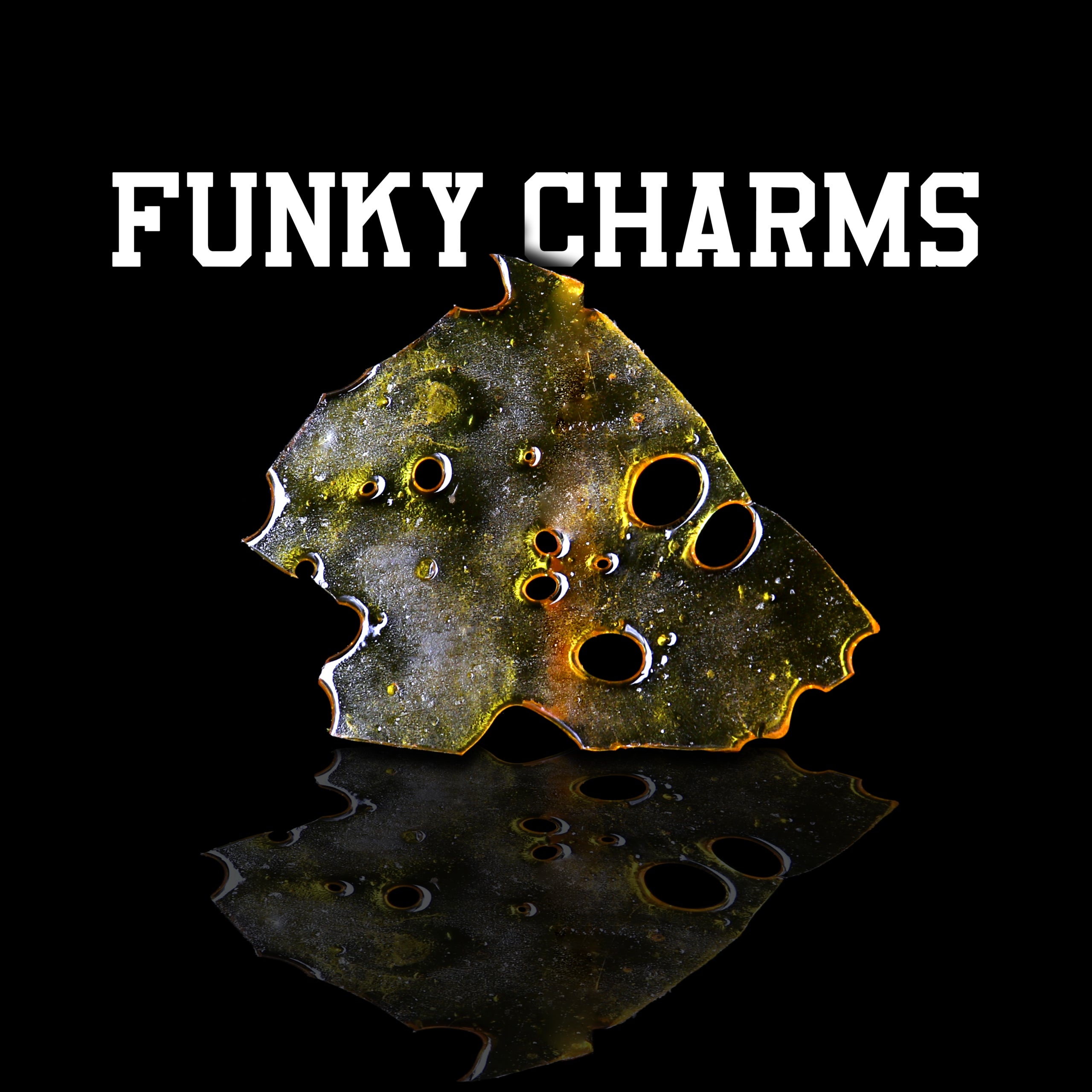 FUNKY CHARMS