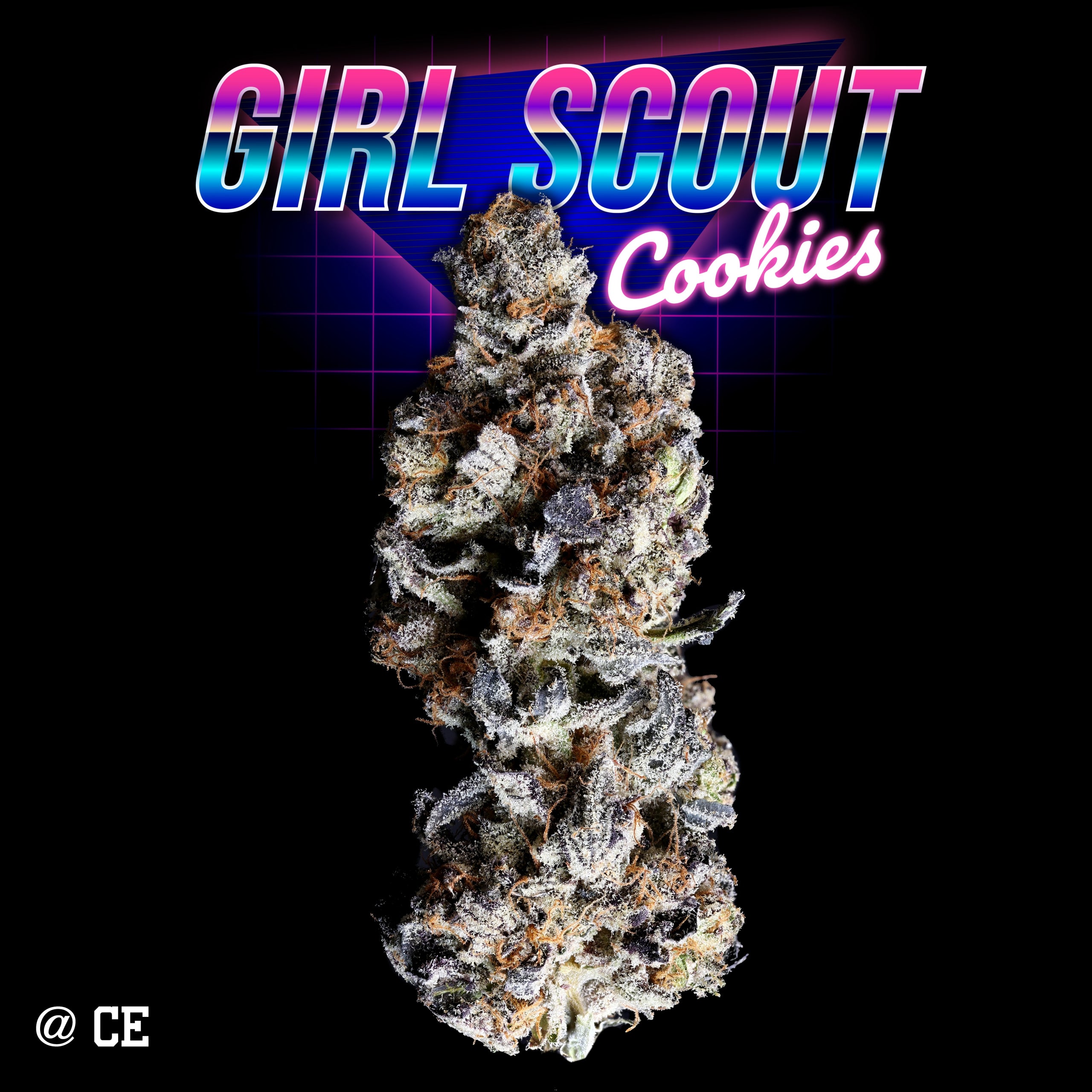 GIRL SCOUT COOKIES (1)