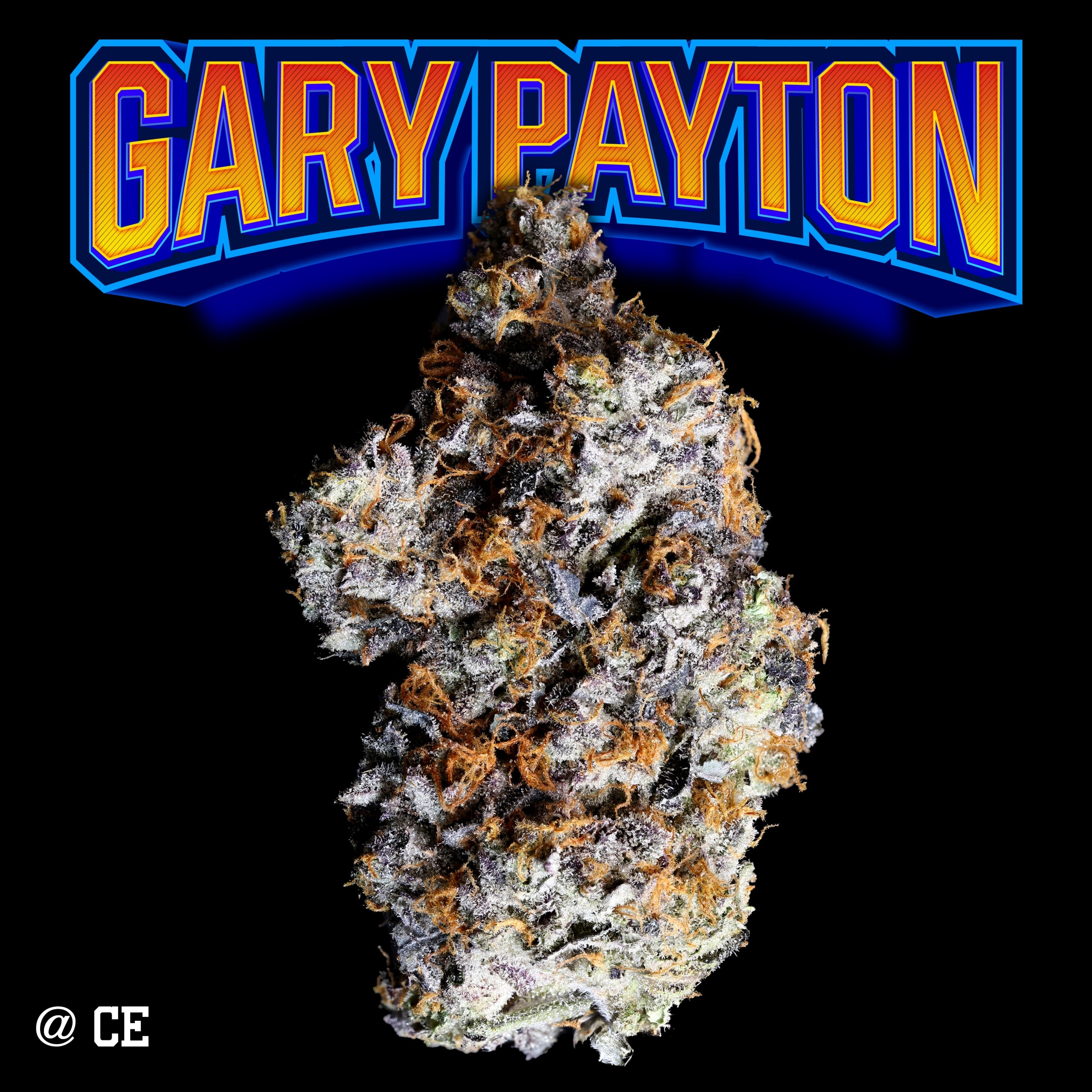 Gary Payton (1)