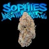 Sophies Breath strain