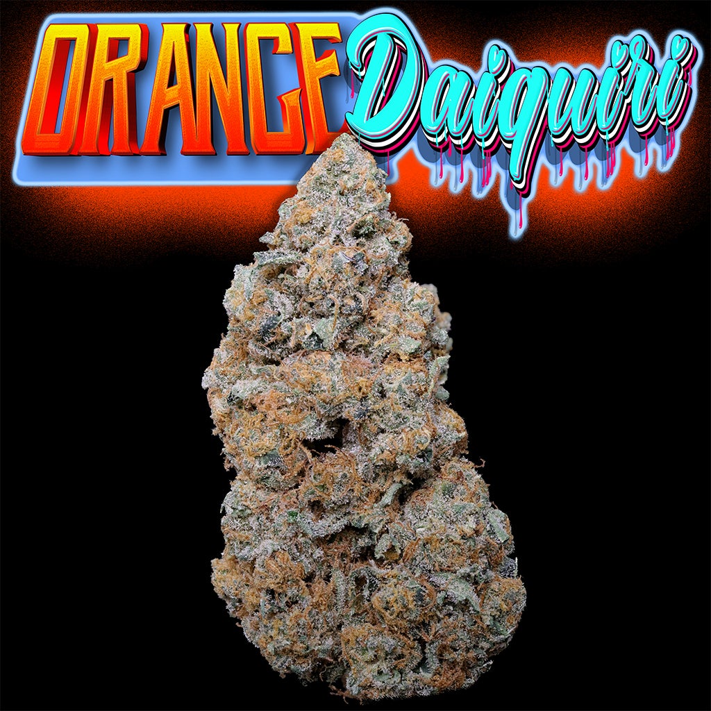 _0006_Orange Daiquiri Bud copy