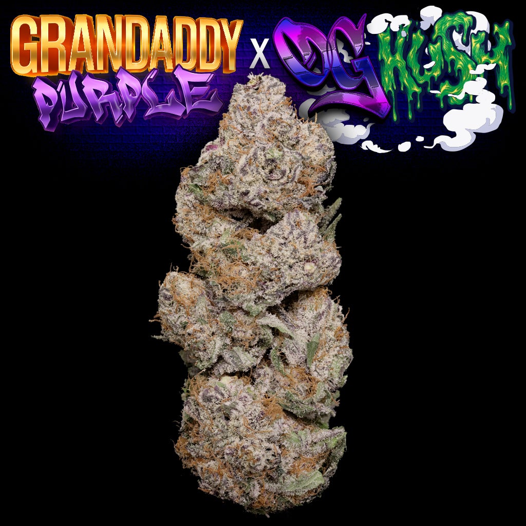 Grandaddy Purple x Og Kush Thumbnail