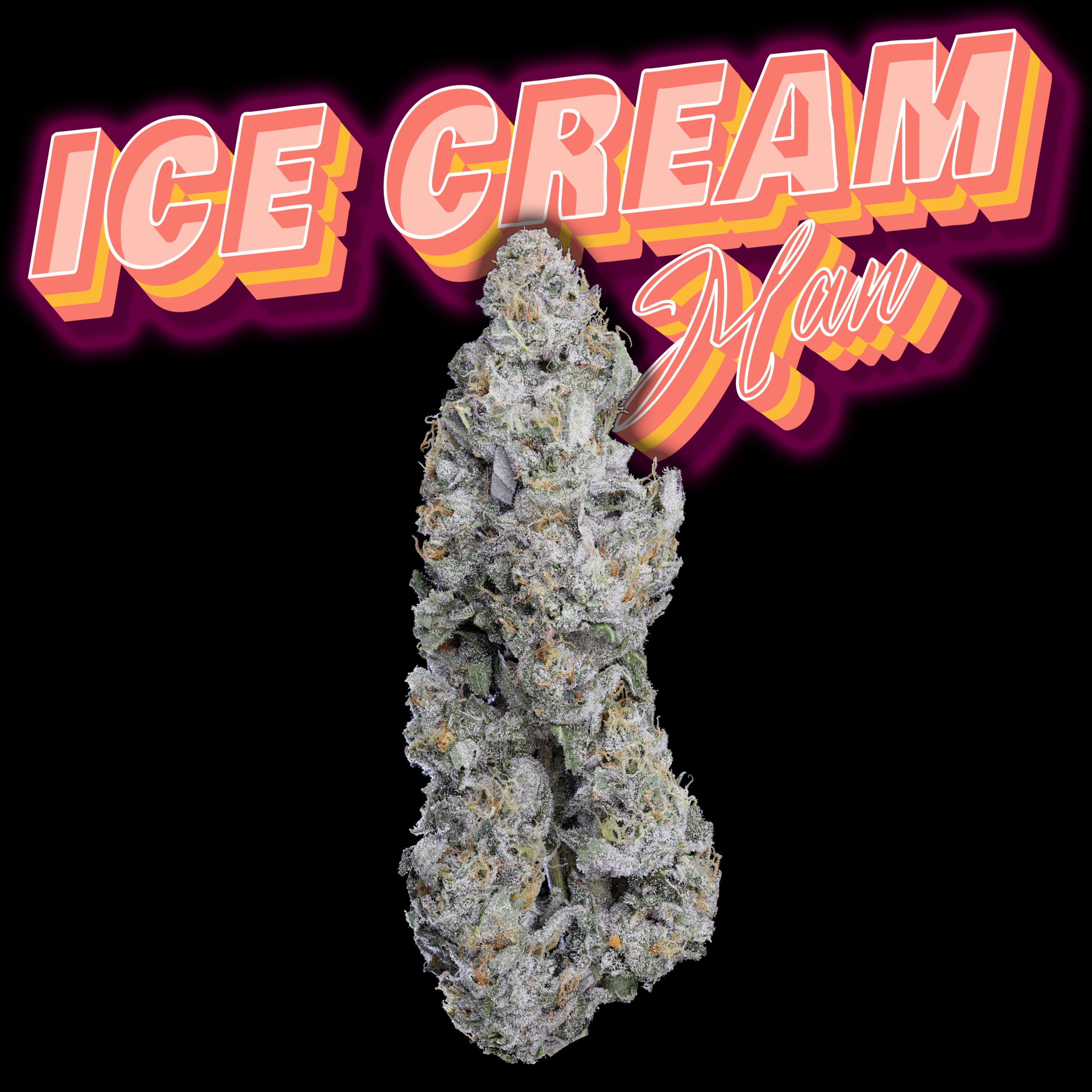 Ice Cream Man Thumbnail