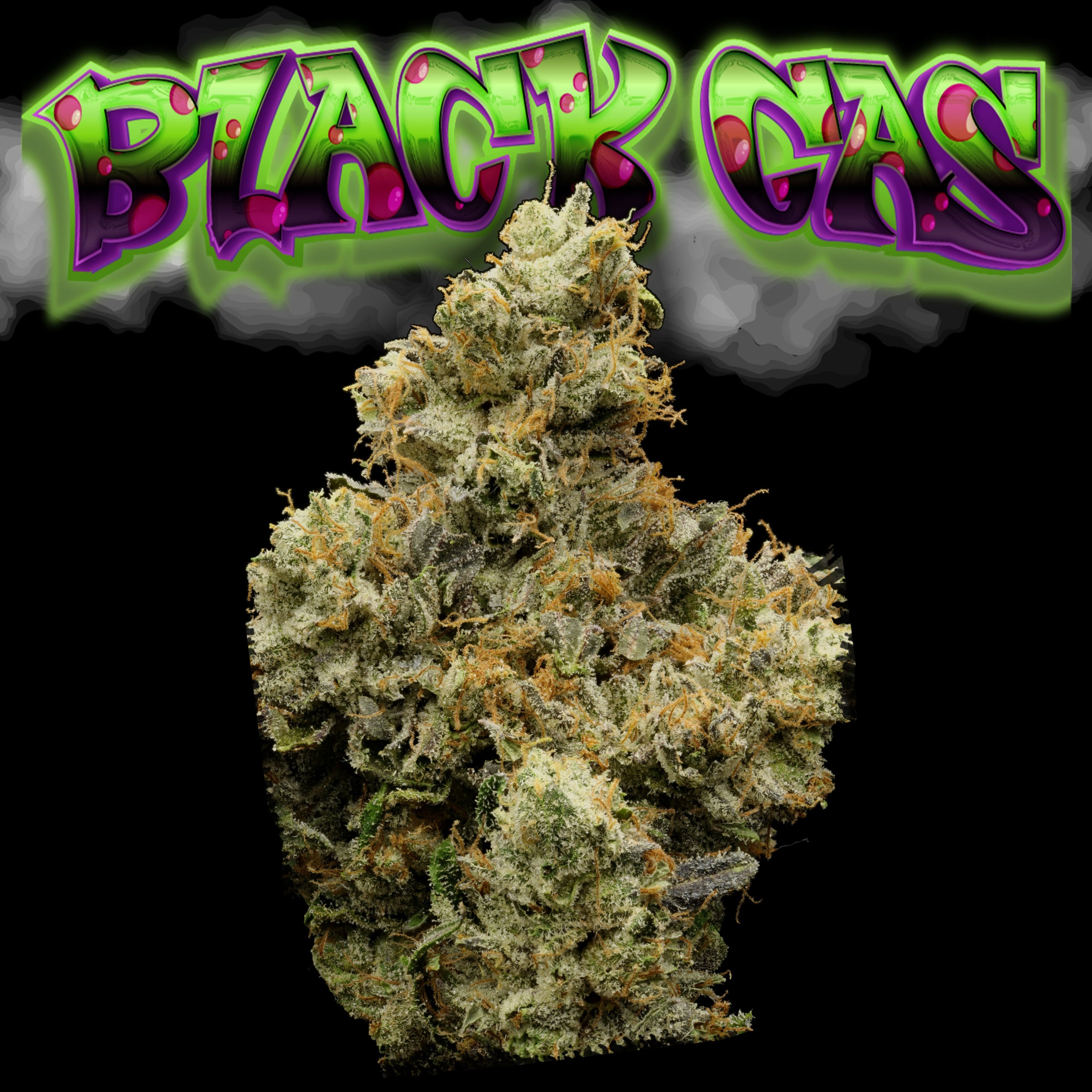 Black Gas Bud Pic