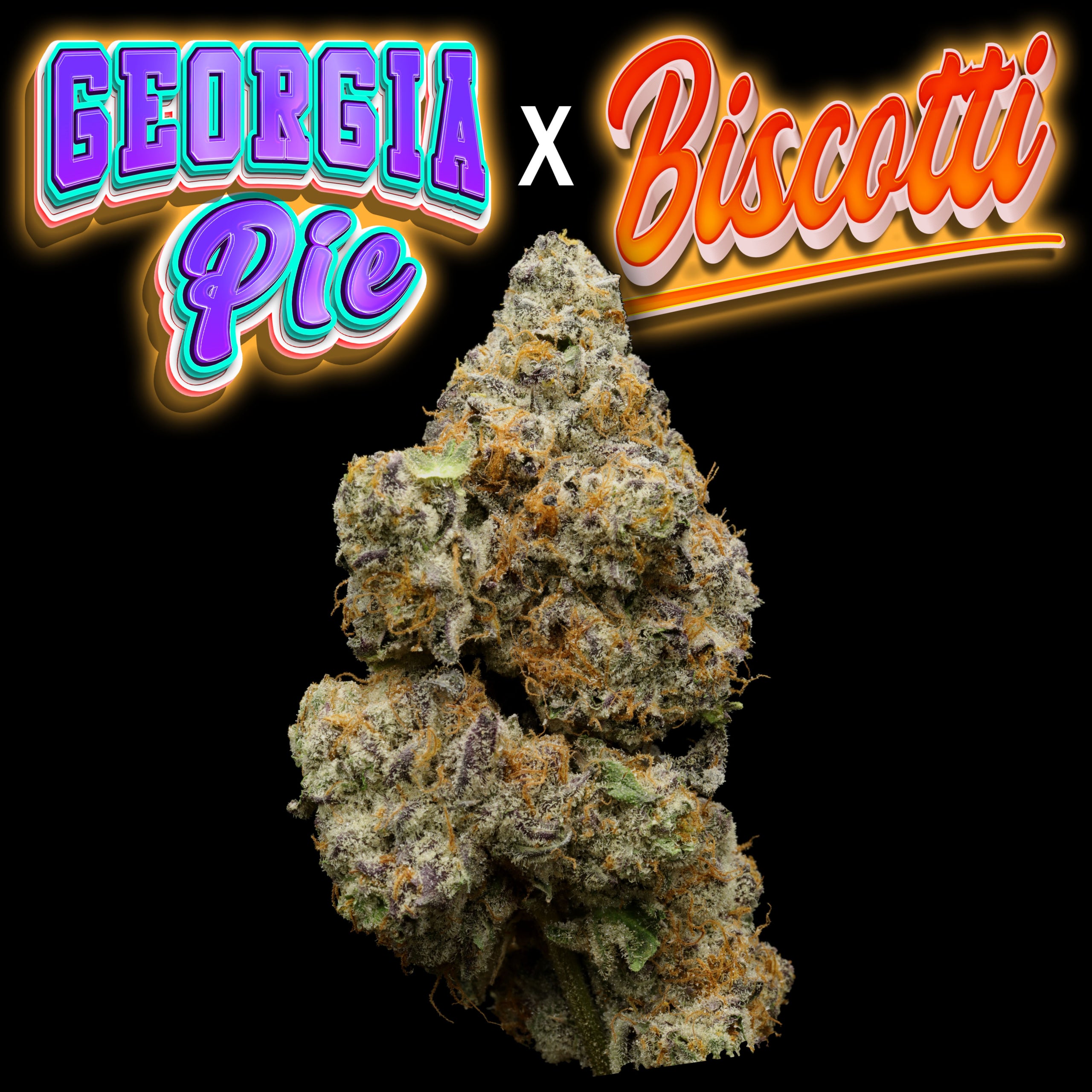 Georgia Pie x Biscotti Thumbnail