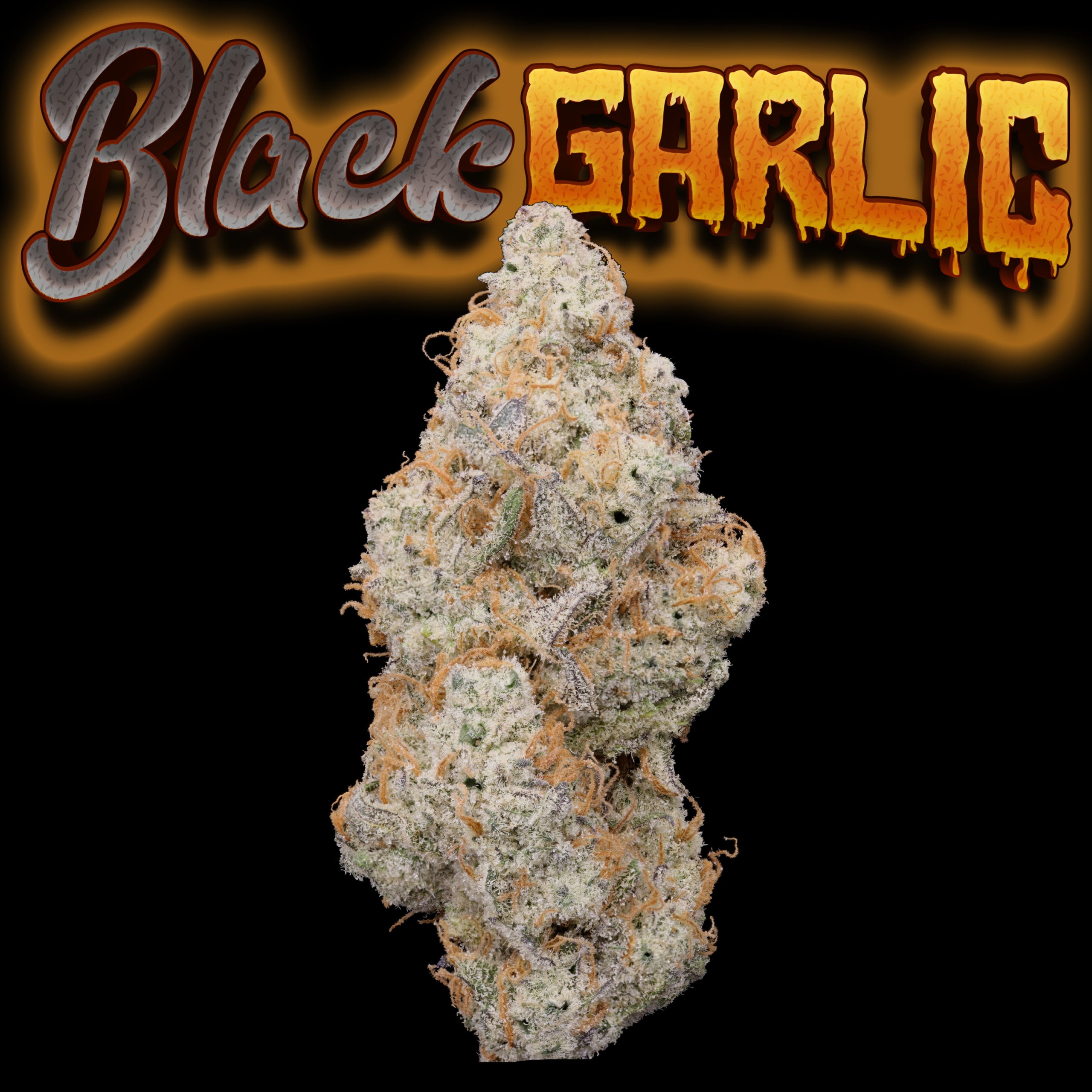 Black Garlic Bud