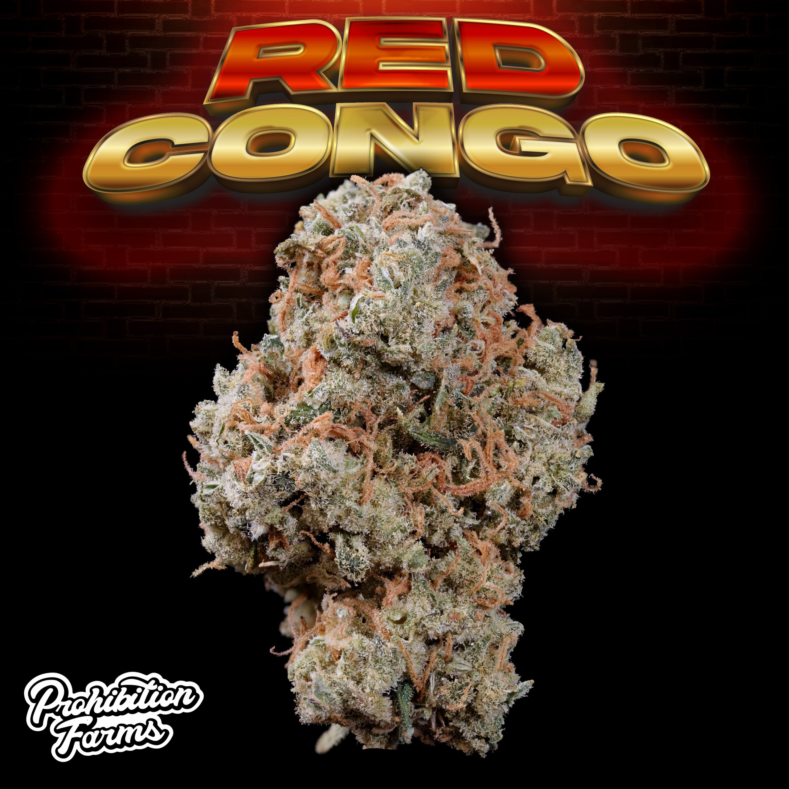 Red Congo Nug Big