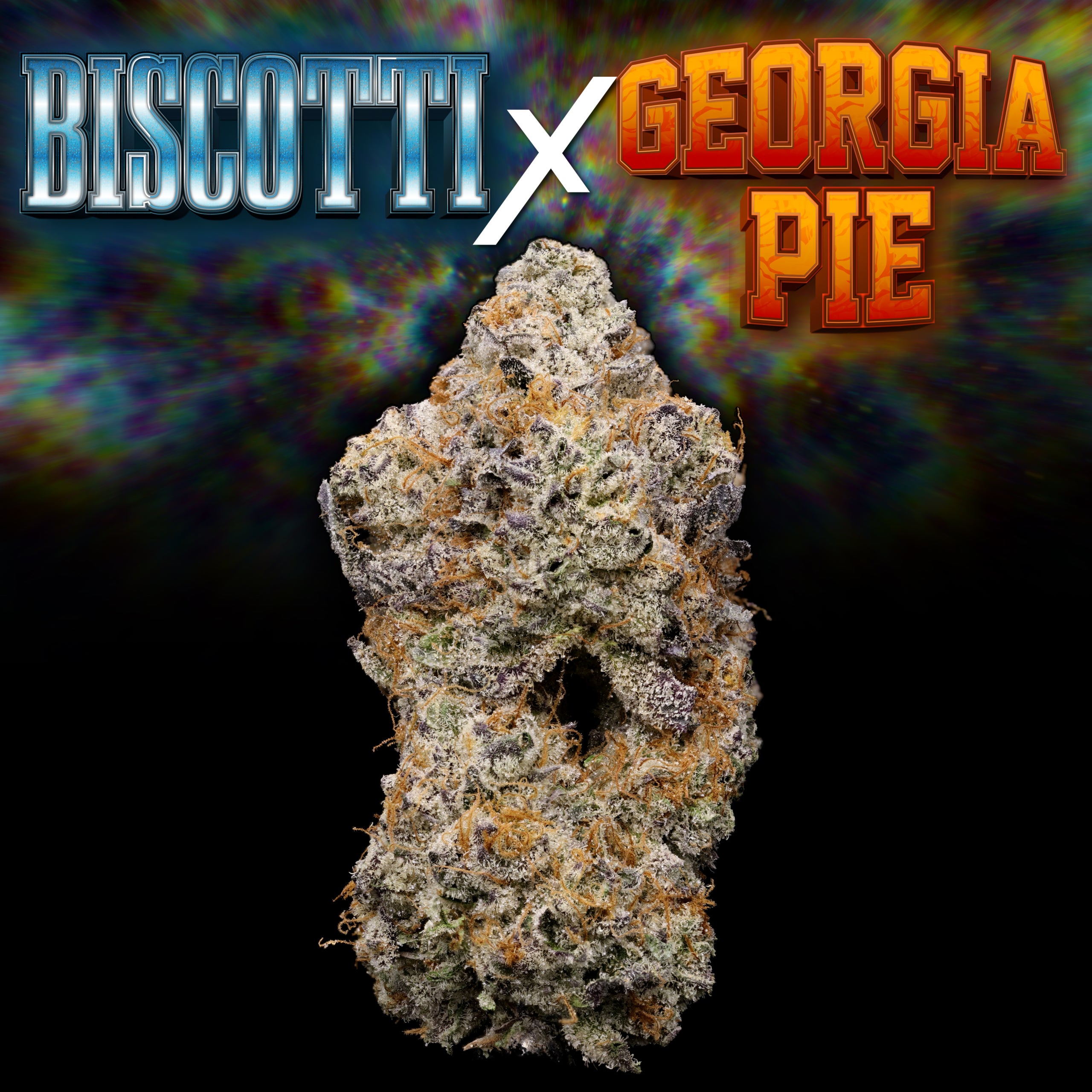 Biscotti X Georgia Pie Bud