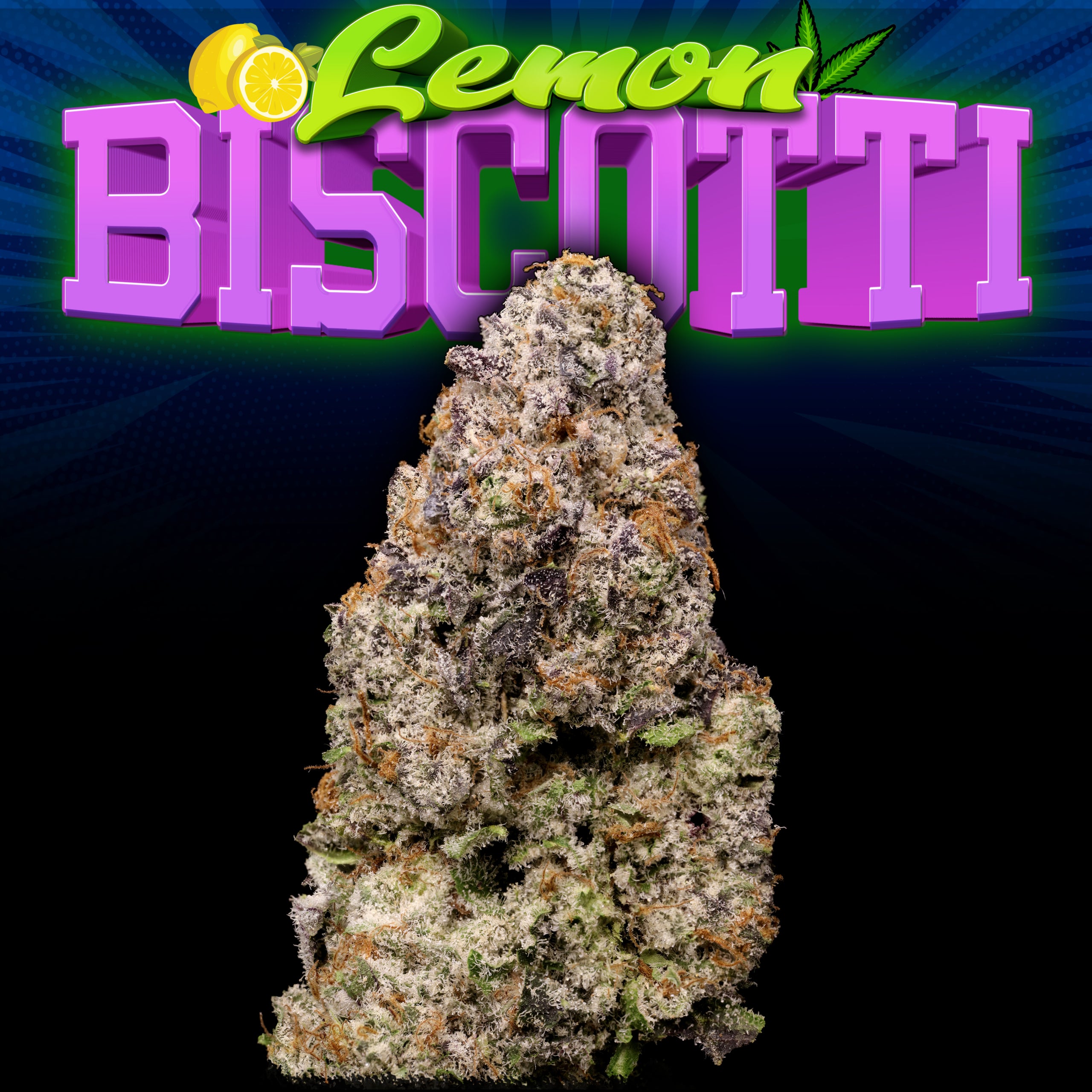 Lemon Biscotti Bud