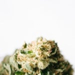 What Are the Benefits of White Fire OG Weed?