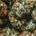Where is the Best Weed Store in Guelph?