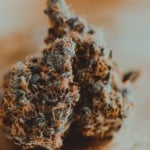 What Are the Benefits of Lemon Haze Weed?