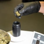 What Does Medicann Ottawa Have to Offer for Weed Lovers?