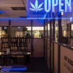 Where Is the Best London Weed Shop?
