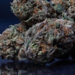 What Are the Effects of the Darth Vader OG Strain?