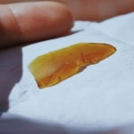 How Can You Microdose Shrooms Safely?