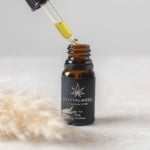 Where Can I Find the Best CBD Shop?