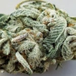 What Are the Benefits of Mystic Peach Weed?