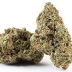 Where Can You Find Cannatonic Strain in Canada?