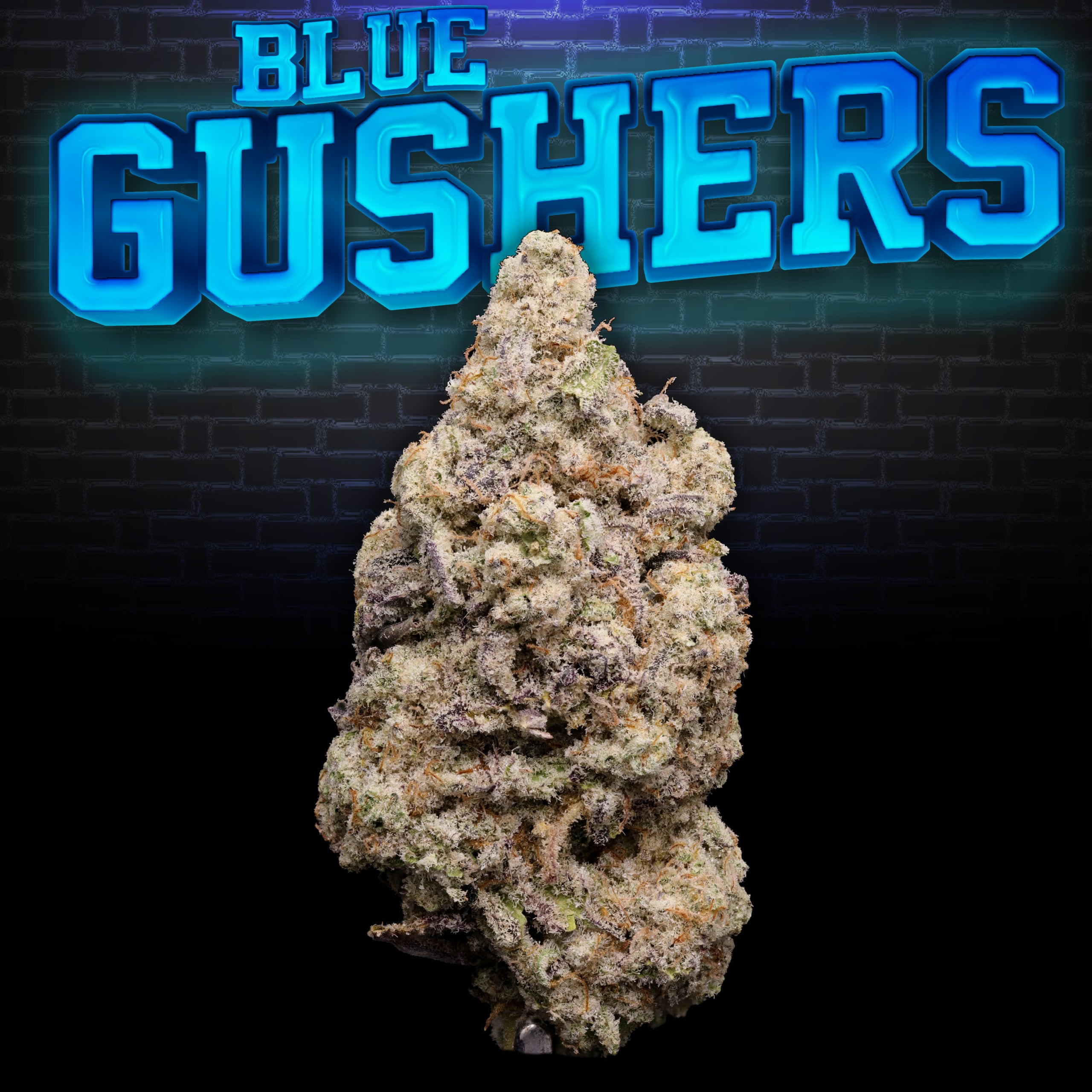 Blue Gushers Macro