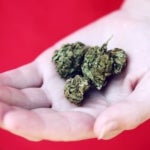 What Are the Benefits of Medical Marijuana for Nausea Sufferers?