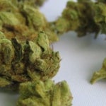 What Are the Best Medical Marijuana Brands in Ohio?
