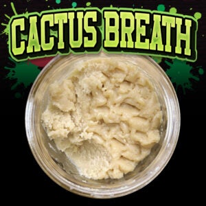 Cactus Breath Thumbnail