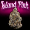 Island Pink Bud Pic
