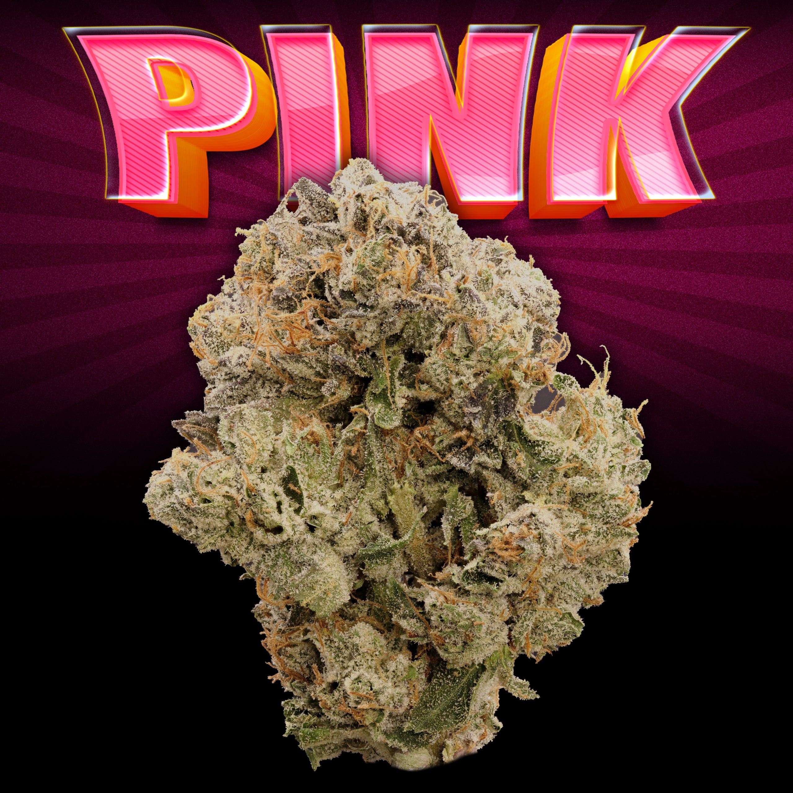 Pink Bud