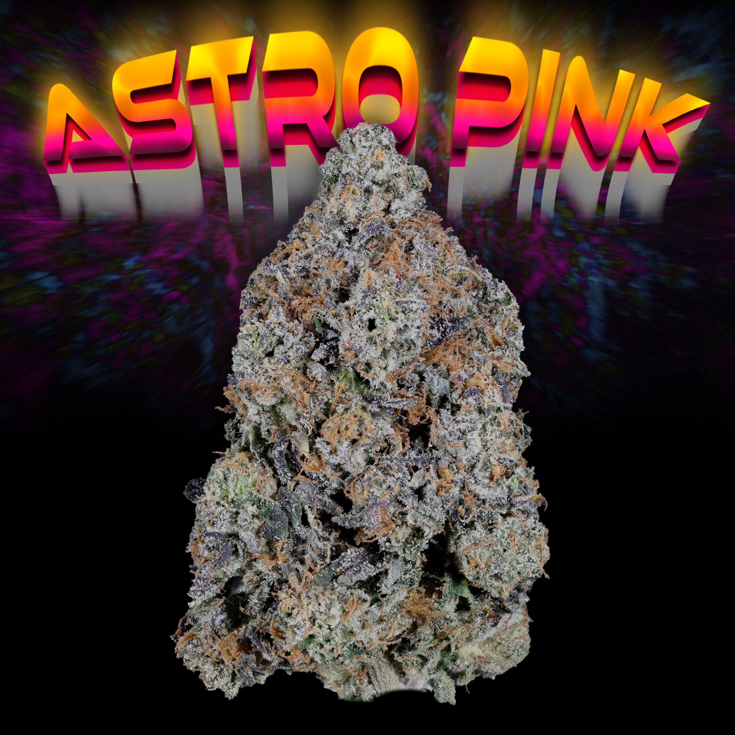 (bud)Astro Pink Bud