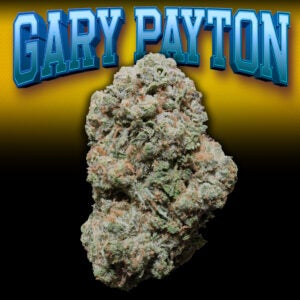 Gary Payton Thumbnail